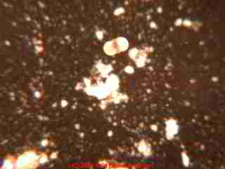Photograph of  paint chalking