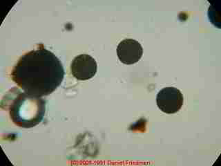 Photograph of  paint droplet