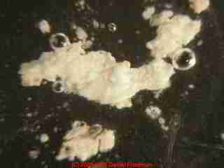 Photograph of  paint pigment