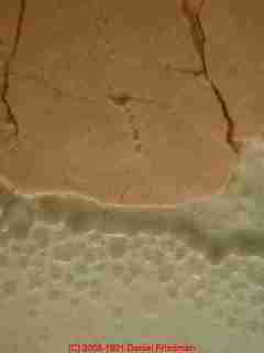 Photograph of surfactant leaching failure of a painted exterior wall