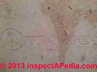 Armstrong sheet flooring (C) InspectApedia LT