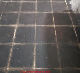Black tile (C) InspectApedia.com Cindy