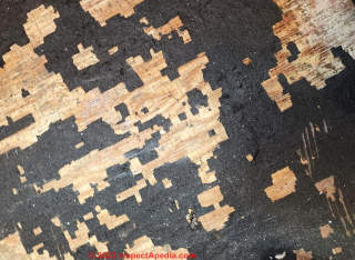 black mastic on wood subfloor (C) InspectApedia.com D