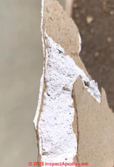 damaged drywall cross section with label "Manufactured to meet ASTM Standard C36" (C) InspectApedia.com TH