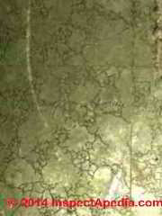Asbestos containing flooring in Caligula / Tragan Armstrong-Like pattern (C) InspectApedia DF JS