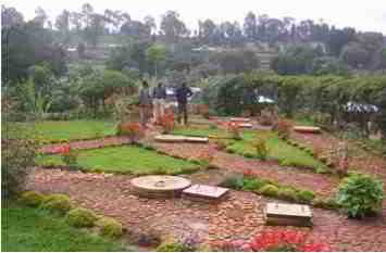 Rwanda biogas project  - KIST