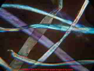 Photograph of house dust by microscope