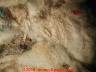 White mineral wool insulation in a 2002 home (C) Daniel Friedman