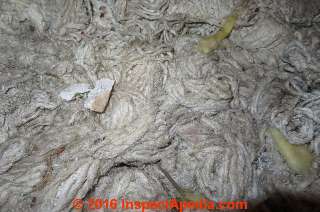 Apparent mineral wool in thick strands  (C) InspectApedia.com John Lenig