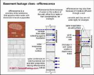 Effloresence explained (C) Carson Dunlop Associates