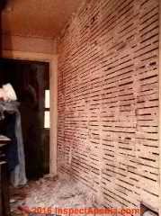 Plaster lath board (C) Daniel Friedman