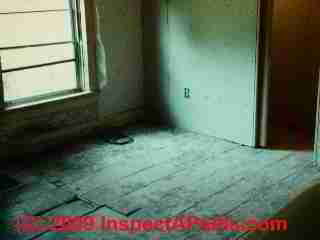 Wideboard wood floor ca 1860 (C) Daniel Friedman