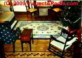 Parquet floor with inlay (C) Daniel Friedman