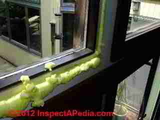 Squash testing icynene foam insulation (C) Daniel Friedman