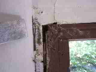 Window trim removal tools (C) Daniel Friedman