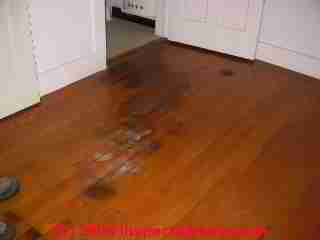 Pet urine stains on a hardwood floor (C) Daniel Friedman