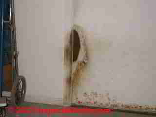 Animal stains and damage at a doorway (C) D Friedman