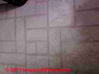 Armstrong vinyl asbestos Sheet Flooring photo (C) Daniel Friedman