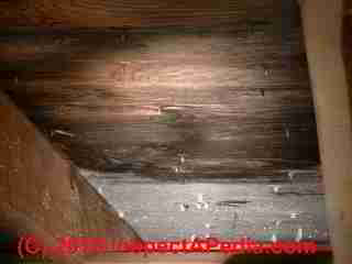 Attic condensation, frost, possible mold or rot damage (C) Daniel Friedman