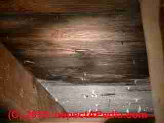Frost on attic roof decking (C) Daniel Friedman