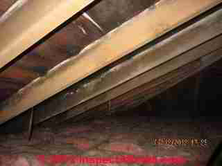 Attic interior moldy roof sheathing (C) Daniel Friedman