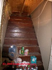 Clutter on steps is a trip hazard (C) Daniel Friedman