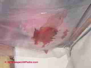 Water trapped in poly vapor barrier (C) D Friedman