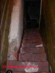 Rotting collapsing basement stairs in a pre-1900 home