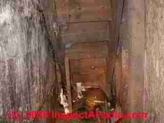 Rotting stair structure from behind (C) Daniel Friedman