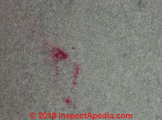 Red spot stains on wall to wall carpeting (C) Inspectapedia.com