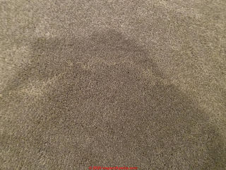Large amorphous tan stain on light carpeting (C) InspectApedia.com