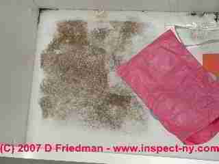 Photograph of stains on floor carpeting
