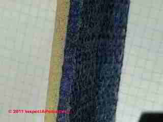 Carpet Padding (C) Daniel Friedman