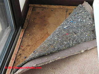 Carpet Padding (C) Daniel Friedman