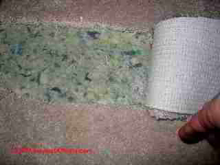 Carpet Padding (C) Daniel Friedman