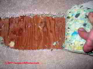 Carpet Padding (C) Daniel Friedman