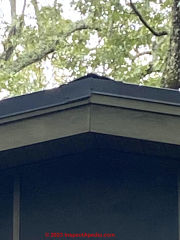 metal roof with mold growth inside home on ceiling (C) InspectApedia.com Joe