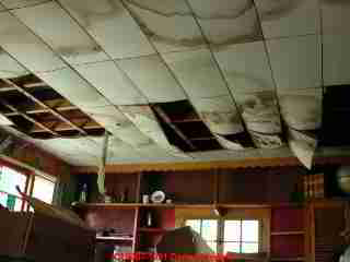Photograph of plumbing leaks into a basement ceiling.