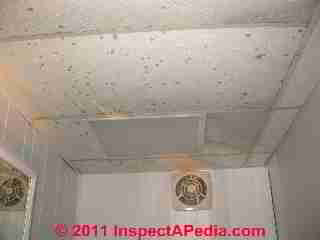 Suspended ceiling tile mold (C) D Friedman