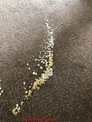 Crystalline residue left after carpet spill (C) InspectApedia.com Emma