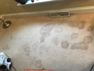 Cause of large dark rounded-edge stains on carpeting (C) InspectApedia.com Laura