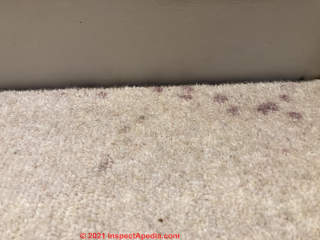 Small spots on carpet (C) InspectApedia.com