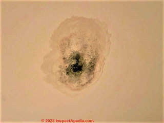 moldy garage ceiling stain (C) InspectApedia.com Denny