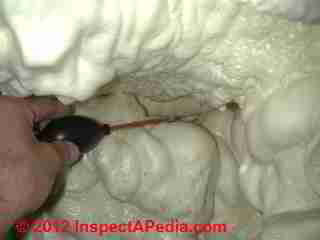 Icynene spray foam being tested for air leaks (C) D Friedman