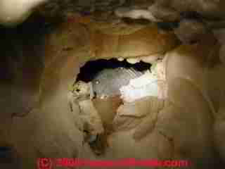 Foam insulation air leaks (C) Daniel Friedman