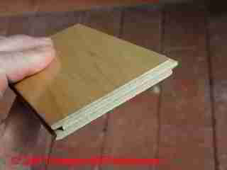 Engineered wood maple floor sample (C) D Friedman