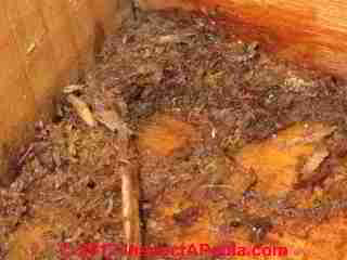 Wall leak investigation, diagnosis, cure (C) Steven Bliss Daniel Friedman