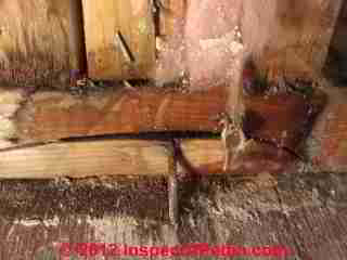 Wall leak investigation, diagnosis, cure (C) Steven Bliss Daniel Friedman