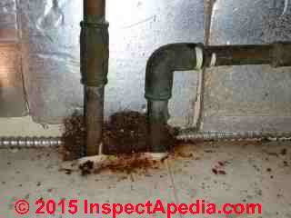 Steel wool used to close rodent entry point below a kitchen sink (C) Daniel Friedman