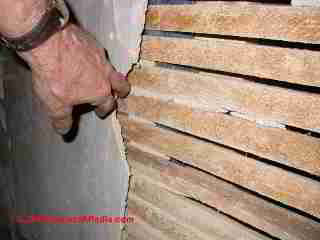 Plaster lath board (C) Daniel Friedman